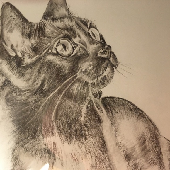 Meet your Posher, Dyan - Picture 6 of 11